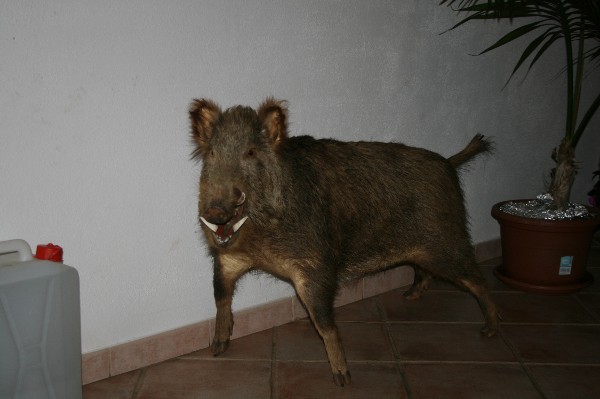 ../Images/2009.05.09 (123).jpg